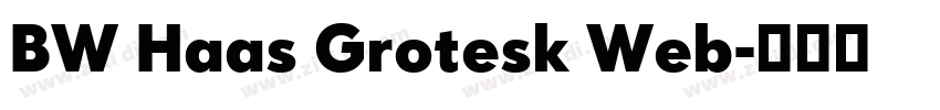 BW Haas Grotesk Web字体转换